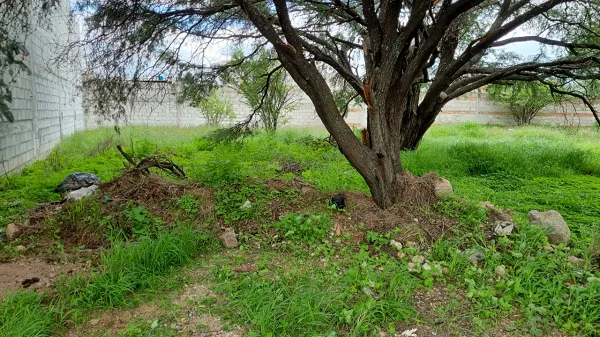 VENTA DE TERRENO EN ADOLFO LOPEZ MATEOS EN TEQUISQUIAPAN QRO