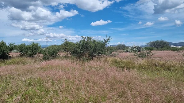 TERRENOS EN VENTA EN COLONIA LA CHARRETERA TEQUISQUIAPAN QRO