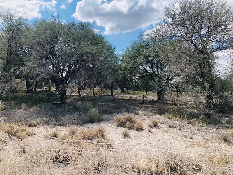 Terreno habitacional en venta en Tequisquiapan | TX-2700