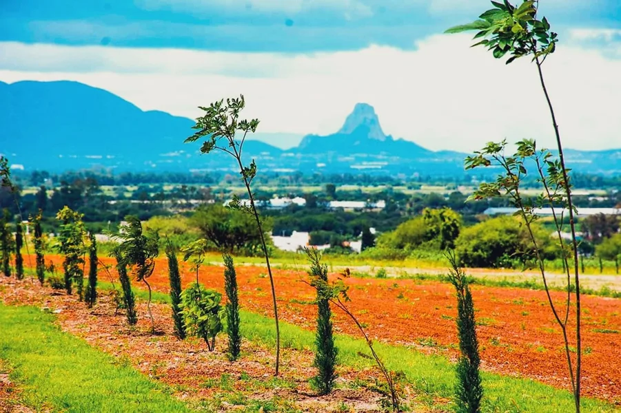TERRENOS EN VENTA EN HACIENDA SAN FRANCISCO EN LA TORTUGA TEQUISQUIAPAN QRO